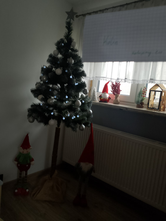 IMG_20241224_084720.jpg