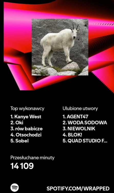 image.thumb.jpeg.d03fc1ef9ce8ec118ef6c5c01809dd8c.jpeg