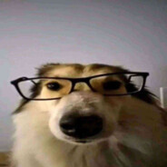 ratipl