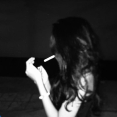 wiciu_2041