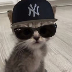 pawka777