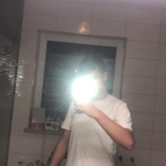 DziQuMeister