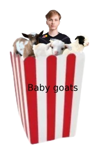 image-removebg-preview(1).png.46f75b43c10d7d85db96c0d6e1b3d1ee.png