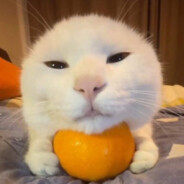 kurban