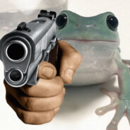 The Frog