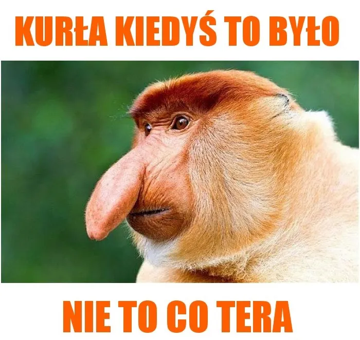 obraz_2025-02-07_140330336.png.f5f91e19ab91fe9816cb13f0ebce8621.png
