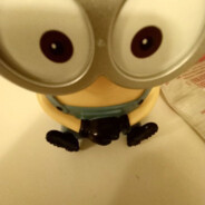 Papcio_11