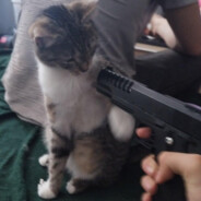 Michvs777
