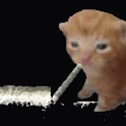 browarek12