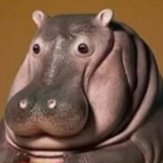 HIPPO1521