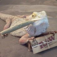 LizzardSquad