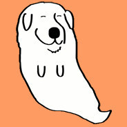 Shacool