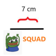 StachuRaper