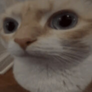 bubux