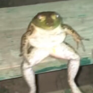 grzm