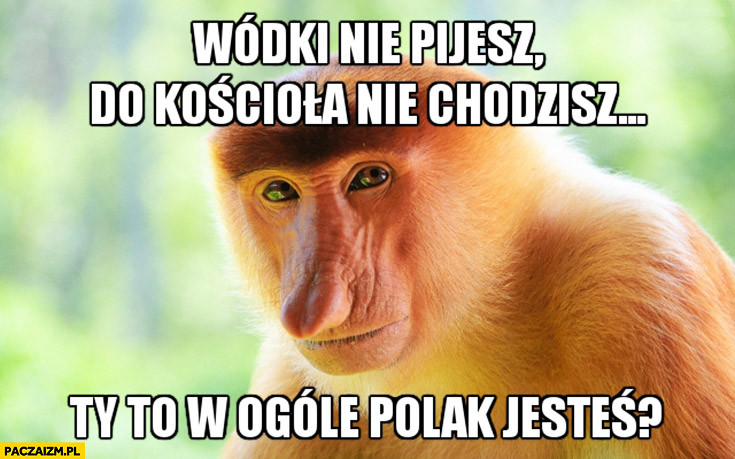 image.jpeg.0d51cd53f89dabe5d1889c9801793d85.jpeg