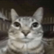 kotixuz