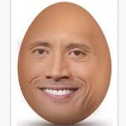 Egg