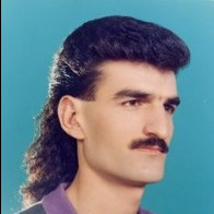 bednar