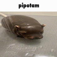 sulopp_