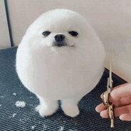 lilczimi0