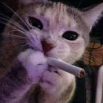kuki.