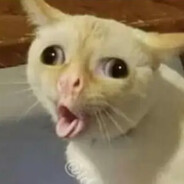 MOCNEFULL