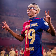 lamine