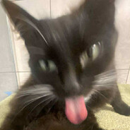 matyjaoh