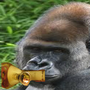 furzaty