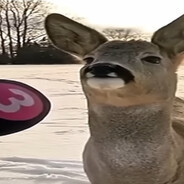 yodv