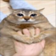 komar_cwel