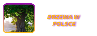DRZEWA.PNG.9c12eede7ae3419912c1d2639a968ad9.PNG
