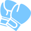 boxing-gloves.png.b094fe0780e2146ea0ca09b258094f1a.png