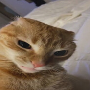 Mielonek