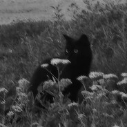 Blacen