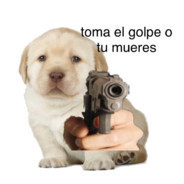 quiero