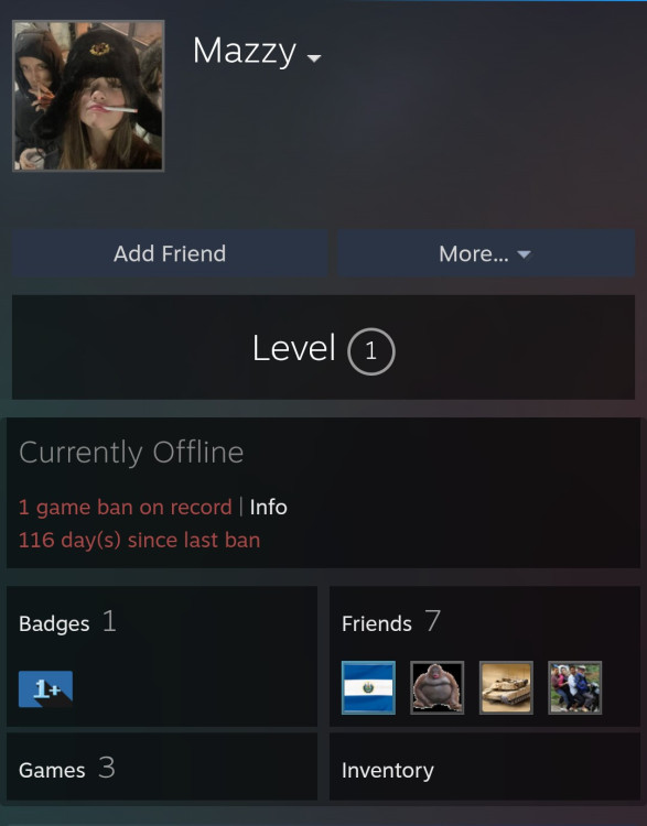 Screenshot_20251223-153001.Steam~2.png