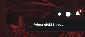 Zrzut ekranu 2025-12-05 213334.png