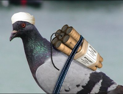 image.png.6ae3fff030ebd47bcd7c55fc7283f563.png