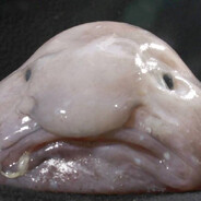 Aleksikk