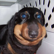 skoott
