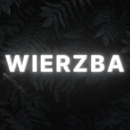 Wierzba_pl