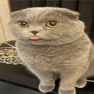 peke