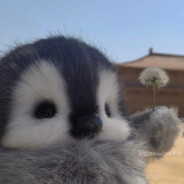 PInguu12