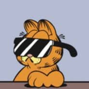 Pinkcat