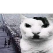 Mandarynkaaa