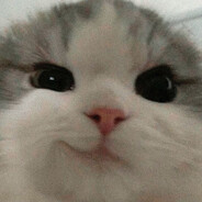 3 6 3