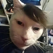 7patryk
