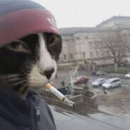CIGARET CAT